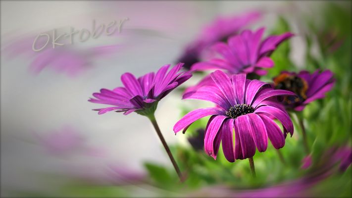 ... bright colors of autumn