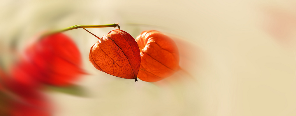 ... bright colors of autumn