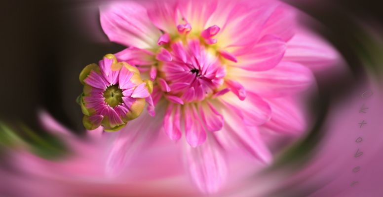 ... bright colors of autumn ...