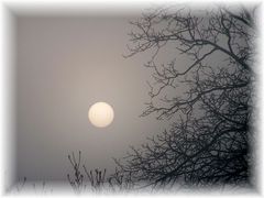 bright & foggy #3