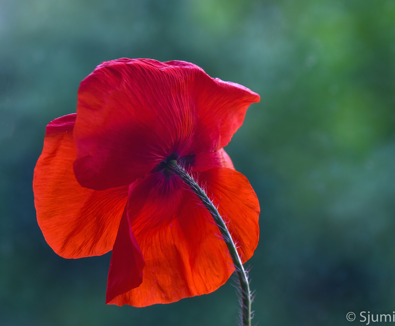 Bright red