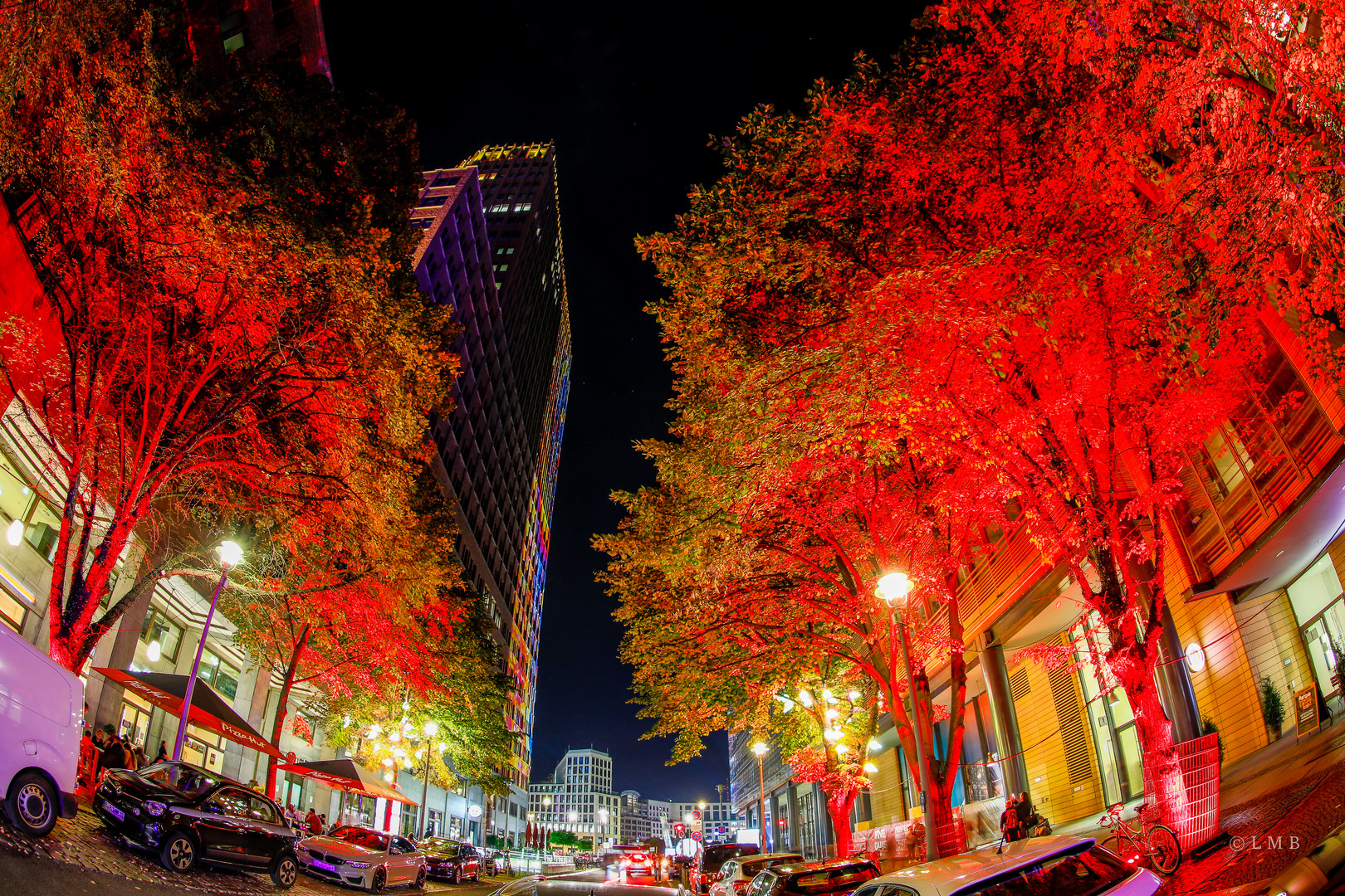 Bright red Trees