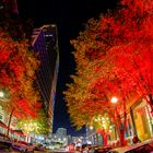 Bright red Trees