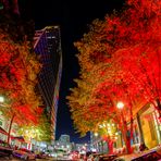 Bright red Trees