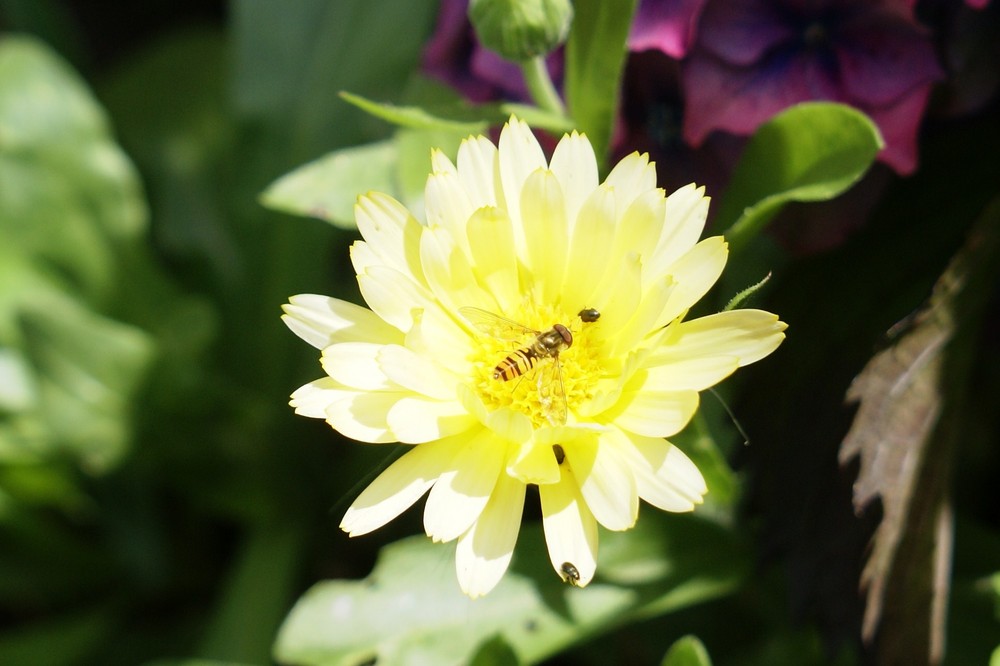 Bright yellow