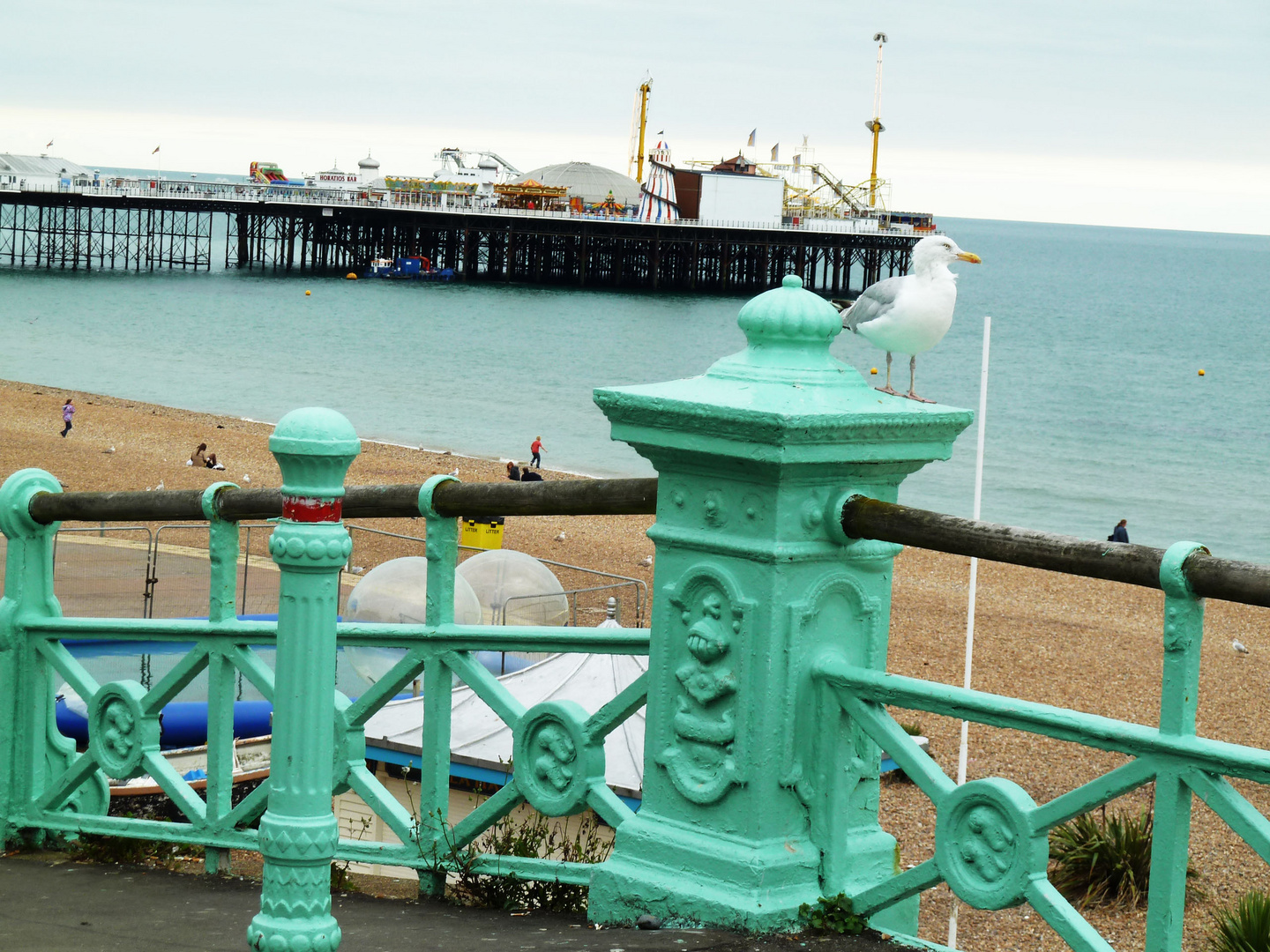 Brighton