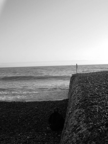 brighton beach