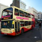 Brighton Bus