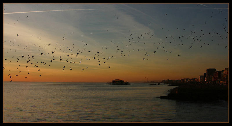 Brighton Dusk