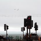 Brighton traffic lights