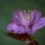 BrightSide_86