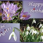Brigitte hat Geburtstag