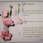 Brigitte hat Geburtstag :-))))