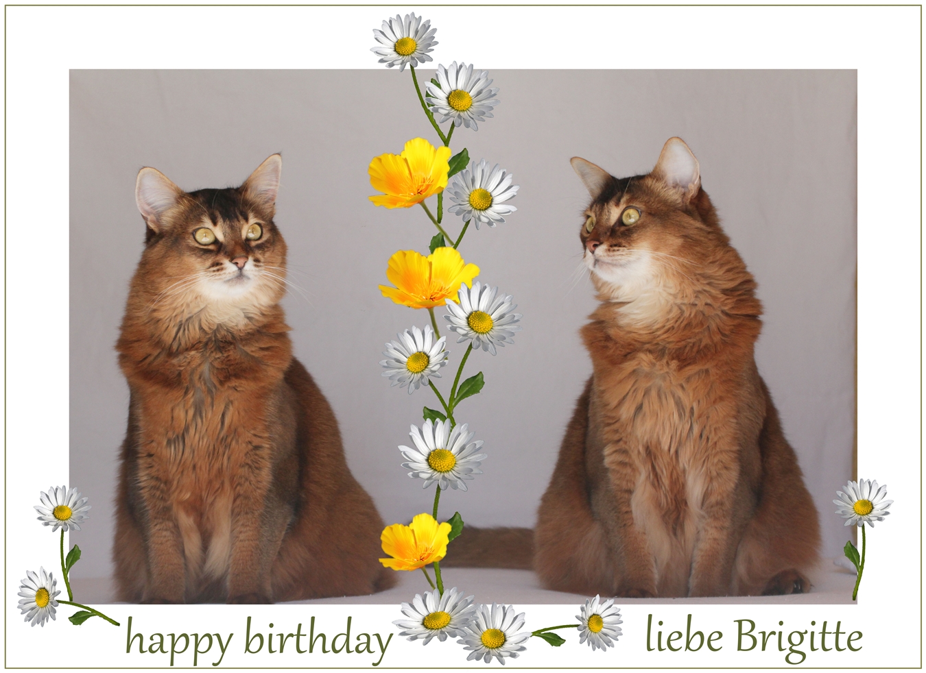 Brigitte hat Geburtstag