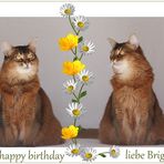 Brigitte hat Geburtstag