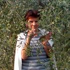 User Profile Photo