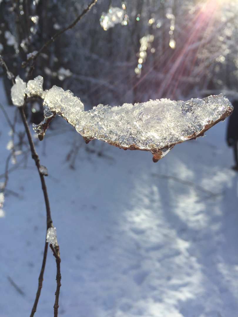 brillantes Glitzern oder Eis am Stiel