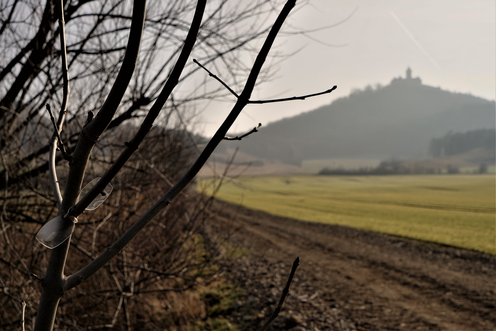 Brille-für den scharfen Blick