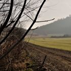 Brille-für den scharfen Blick