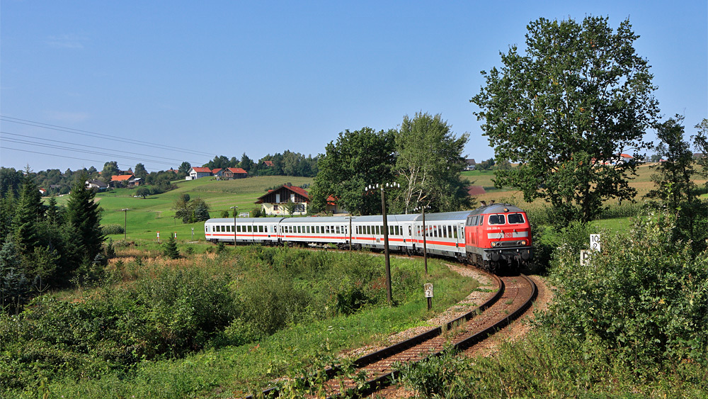 Brillenlok auf Abwegen