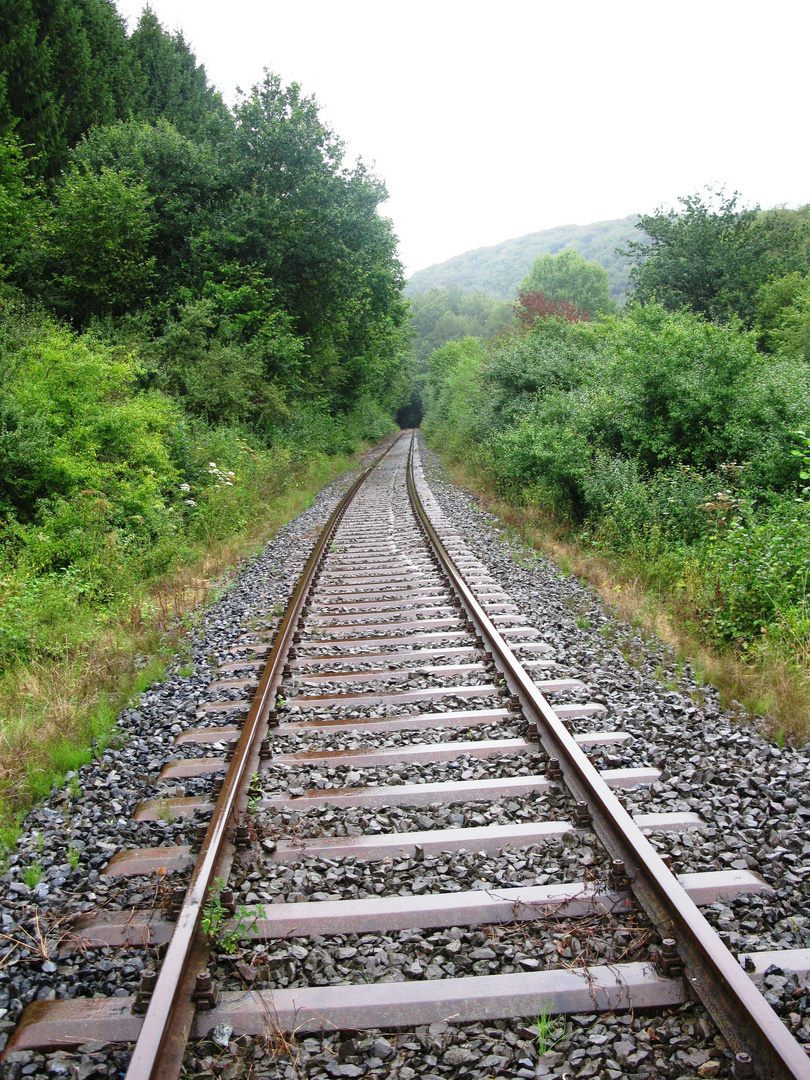 Brilon - Almetalbahn im Mühlental zwischen Alme und Nehden