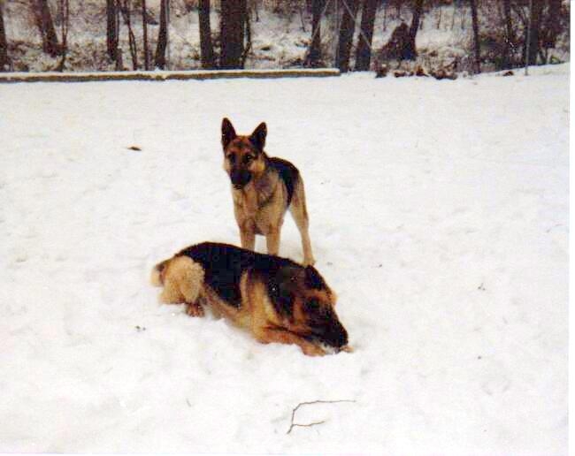 Brina & Warro aus der Eremitenklause 1985