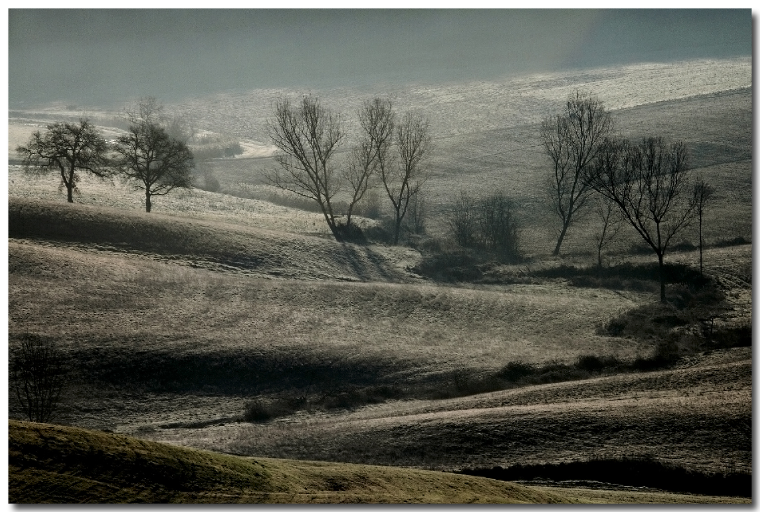 Brinata in controluce