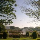 Brindavan Gardens, Mysore