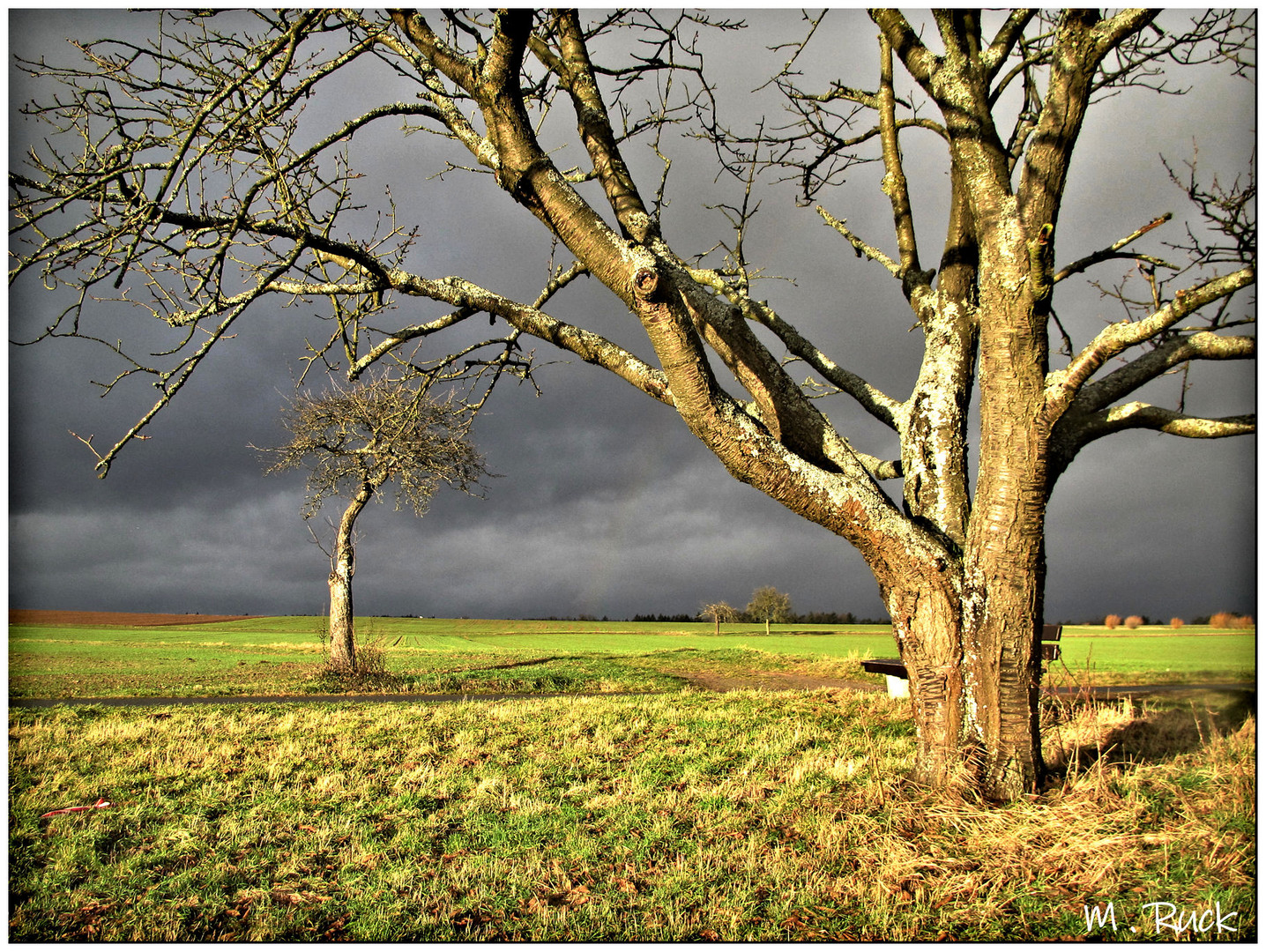 Bringt der Himmel endlich den ersehnten Schnee