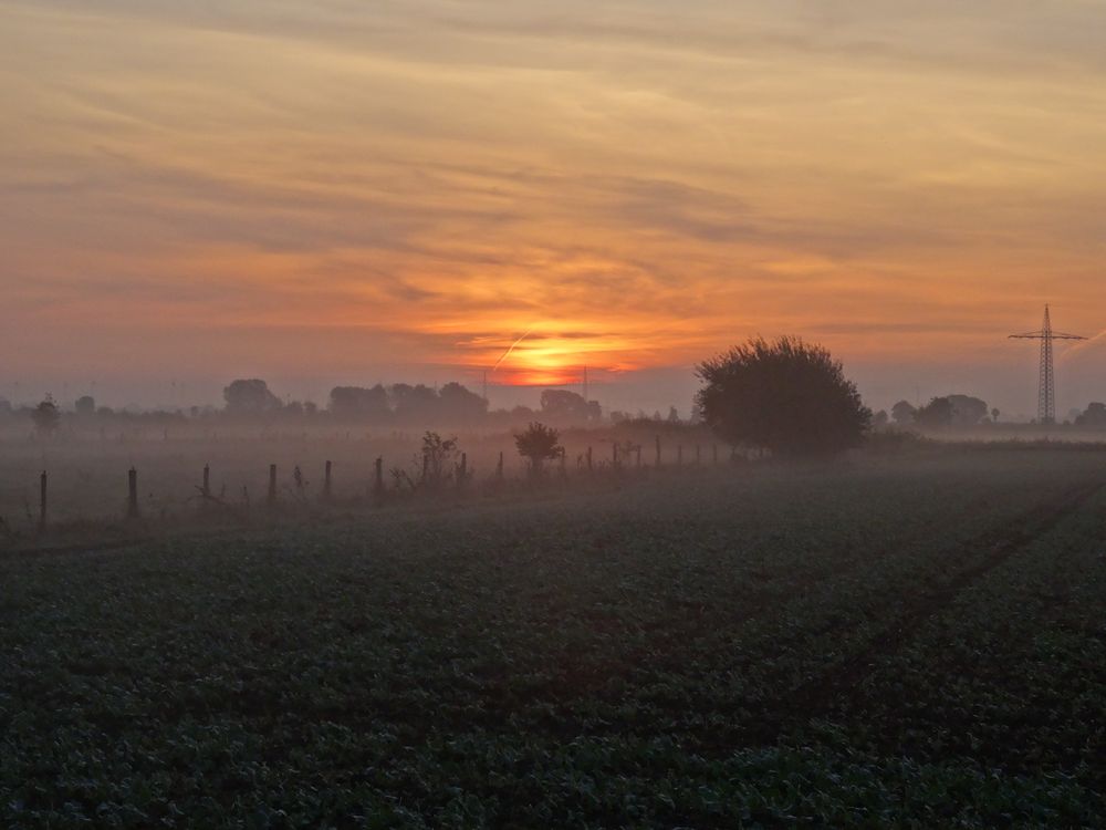 brinkumer morgen