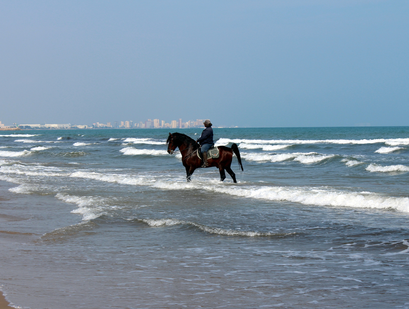 Brioso caballo