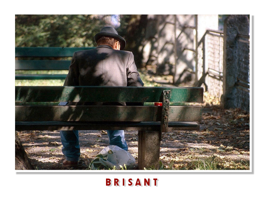 "Brisant" oder "Danke - beschhheiden!"