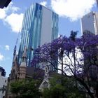 Brisbane Alt Neu und Natur