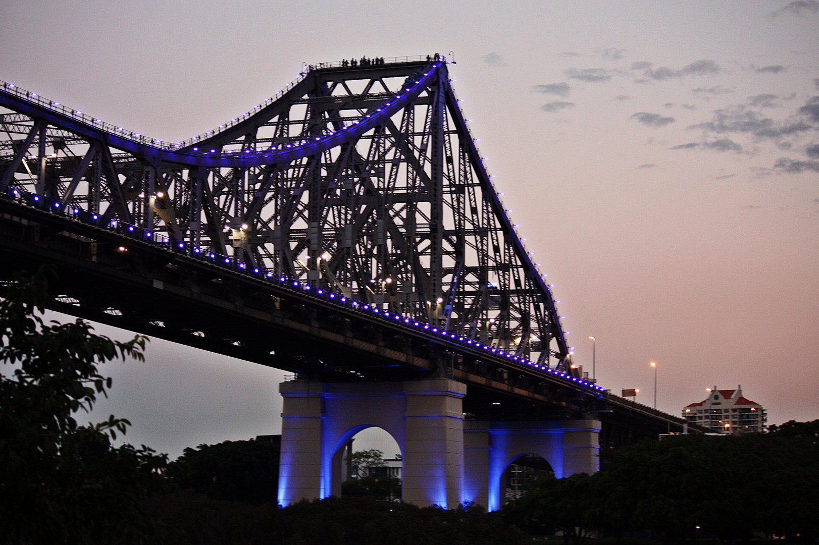 brisbane  bridge at night with blue lights