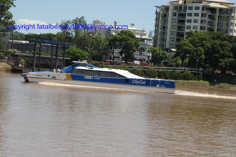 brisbane river citycat boat