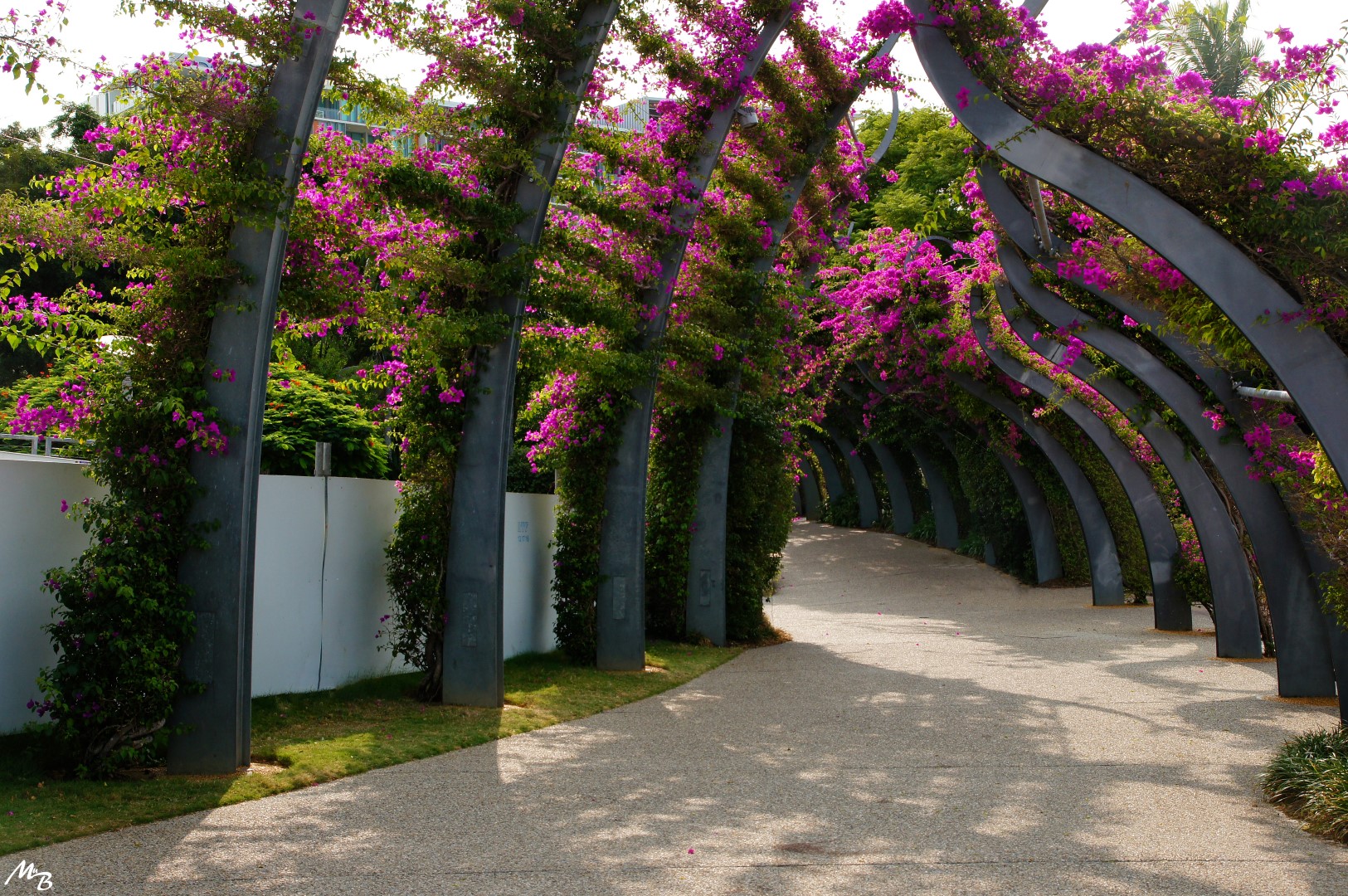 Brisbanes "Flowergate"