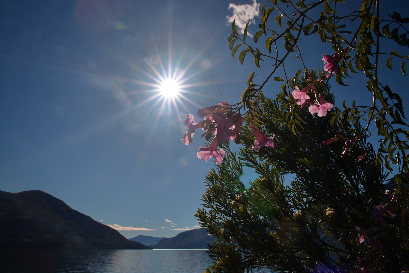 Brissago-Insel