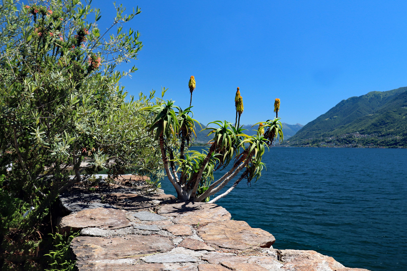 Brissago Insel Tessin