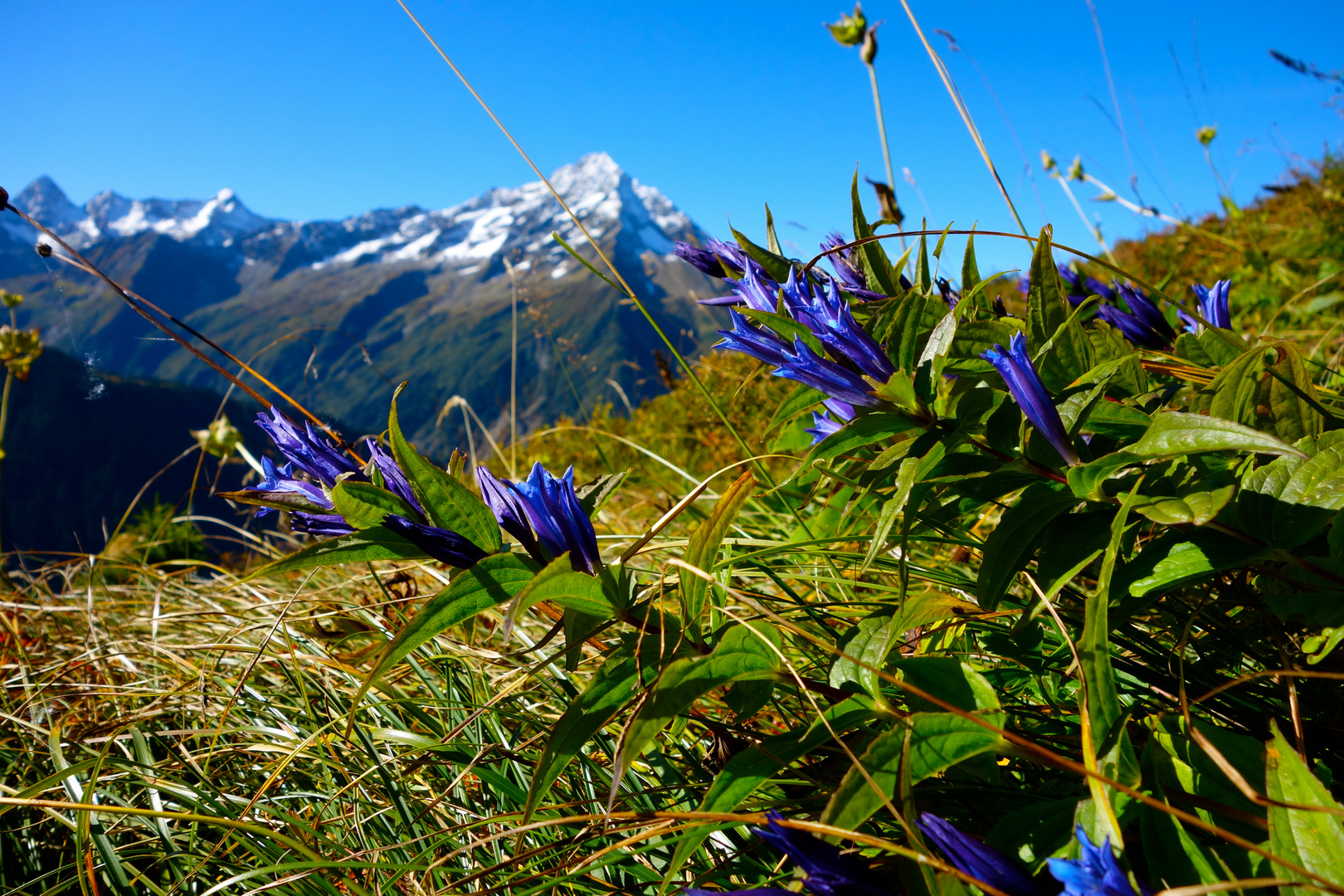 Bristenstock Maderanertal Uri (Schweiz)