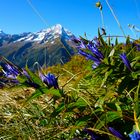 Bristenstock Maderanertal Uri (Schweiz)