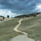 Bristlecone Pine Forest                                  DSC_4782