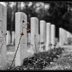 Britischer Militärfriedhof Stahnsdorf