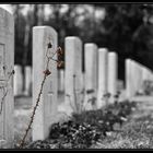 Britischer Militärfriedhof Stahnsdorf