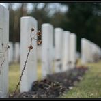 Britischer Militärfriedhof Stahnsdorf - Farbversion