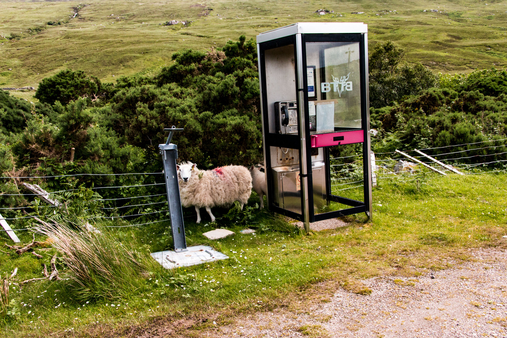 Britisches Mobiltelefon