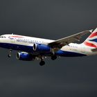 British Airways  -  Airbus A319