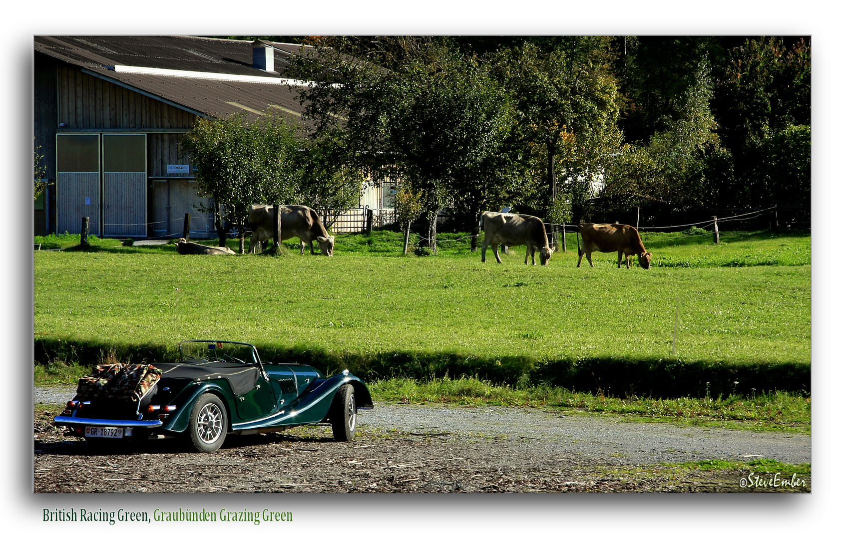 British Racing Green, Graubünden Grazing Green