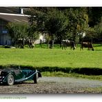 British Racing Green, Graubünden Grazing Green