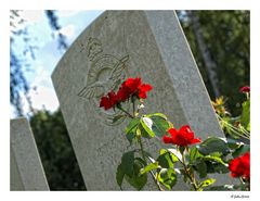 British War Cemetery (2)