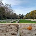 British war graves